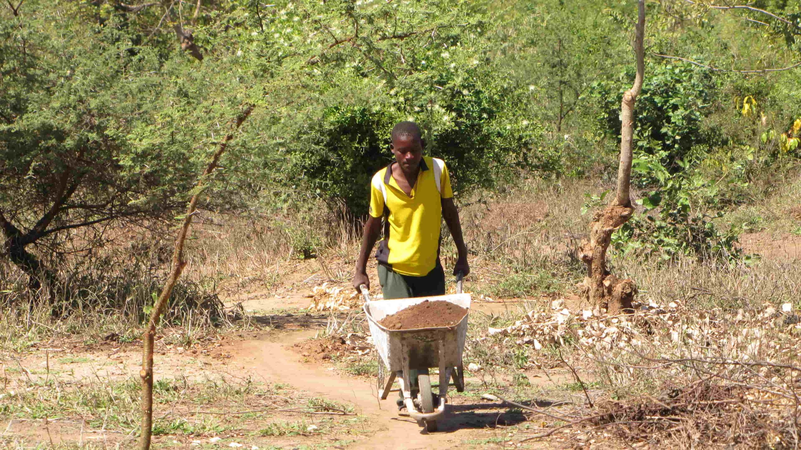 tinywow_2013-08-02-Schoolboys-doing-landscaping-at-Ahava5_17195624-scaled.jpg