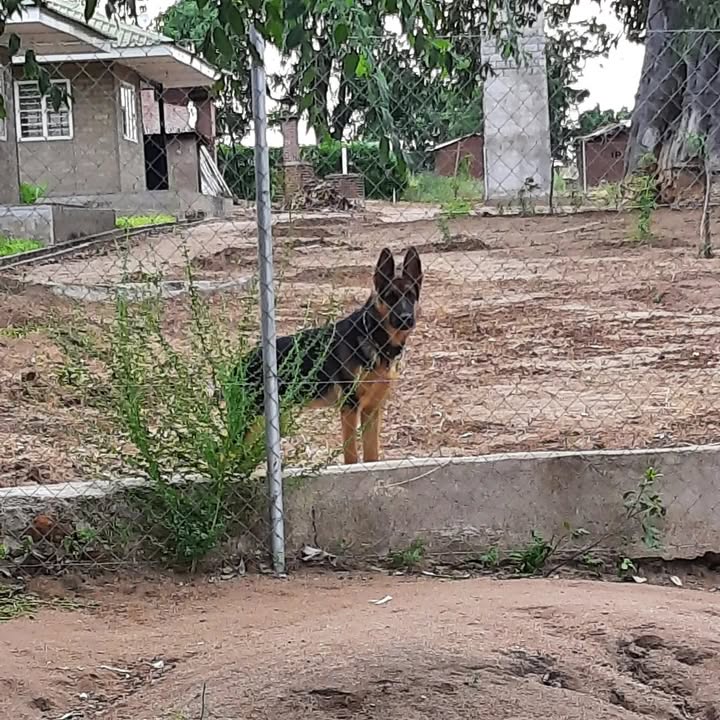 Ahava Ministries Malawi